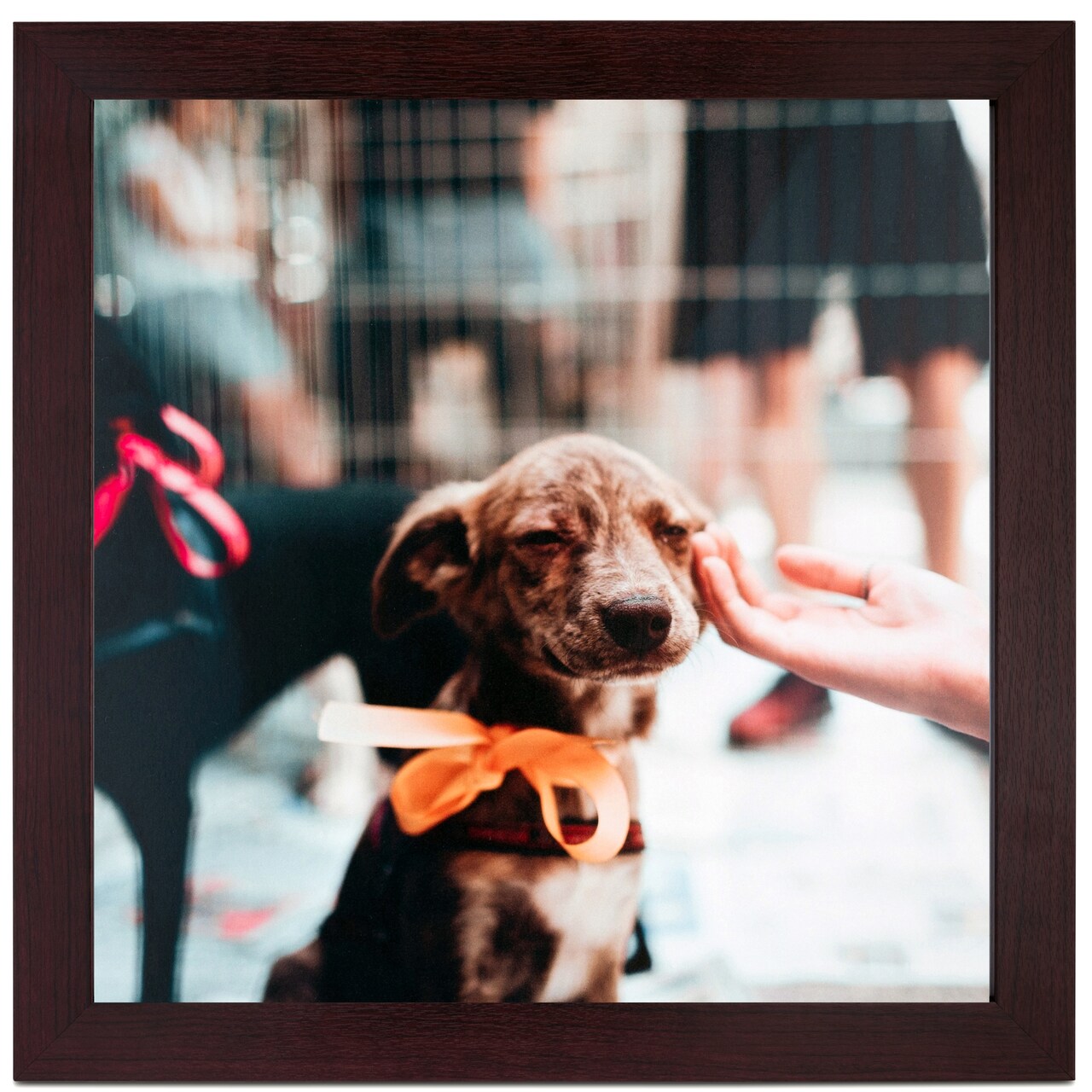 ArtToFrames 8x10 Inch Picture Frame, This 1.25 Inch Custom MDF Poster Frame is Available in Multiple Colors, Great for Your Art or Photos - Comes with Regular Glass and Foam Backing 3/16 inch (V-FRBW26-8x10)